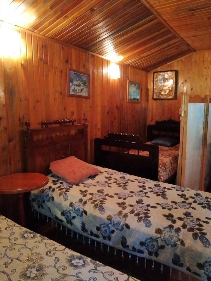 Appartamento Domik S Saunoy Na Ogiyenko Kam'janec'-Podil's'kyj Esterno foto